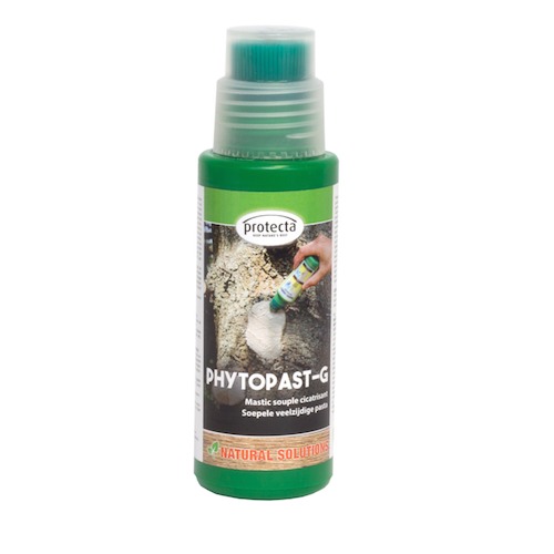 PhytoPast G