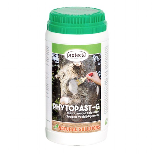 PhytoPast G