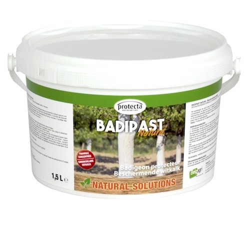 Badipast Natura