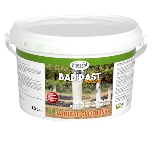 Badipast Natura