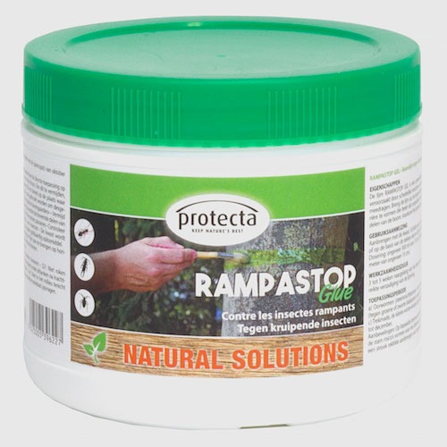 Rampastop Glue