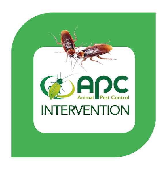 Intervention Insectes rampants 300 m2